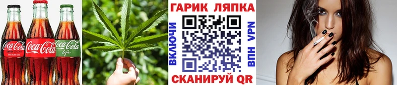 купить закладку Сокол Cannafood марихуана