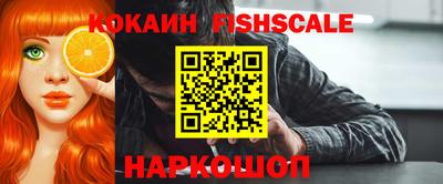 гидра Надым