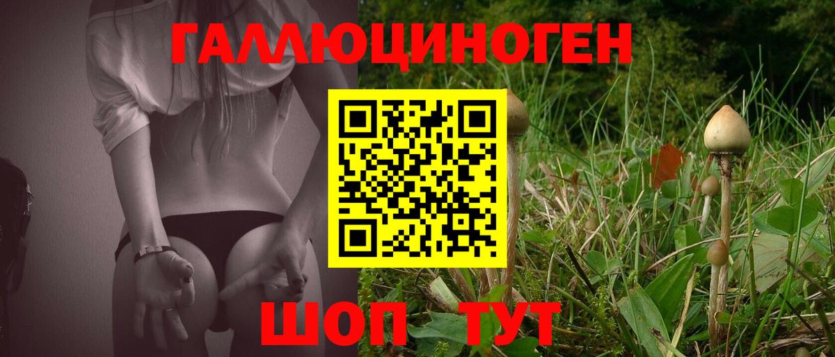 Псилоцибиновые грибы Magic Shrooms Сокол